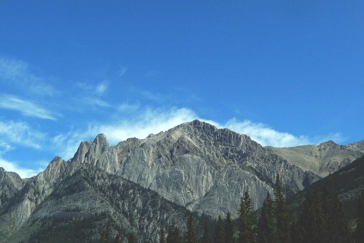 Dignissimos quas vitae in quia