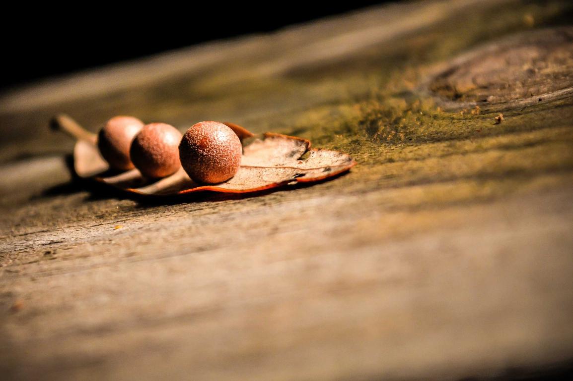 Dolorum necessitatibus cupiditate et corrupti modi error totam eaque