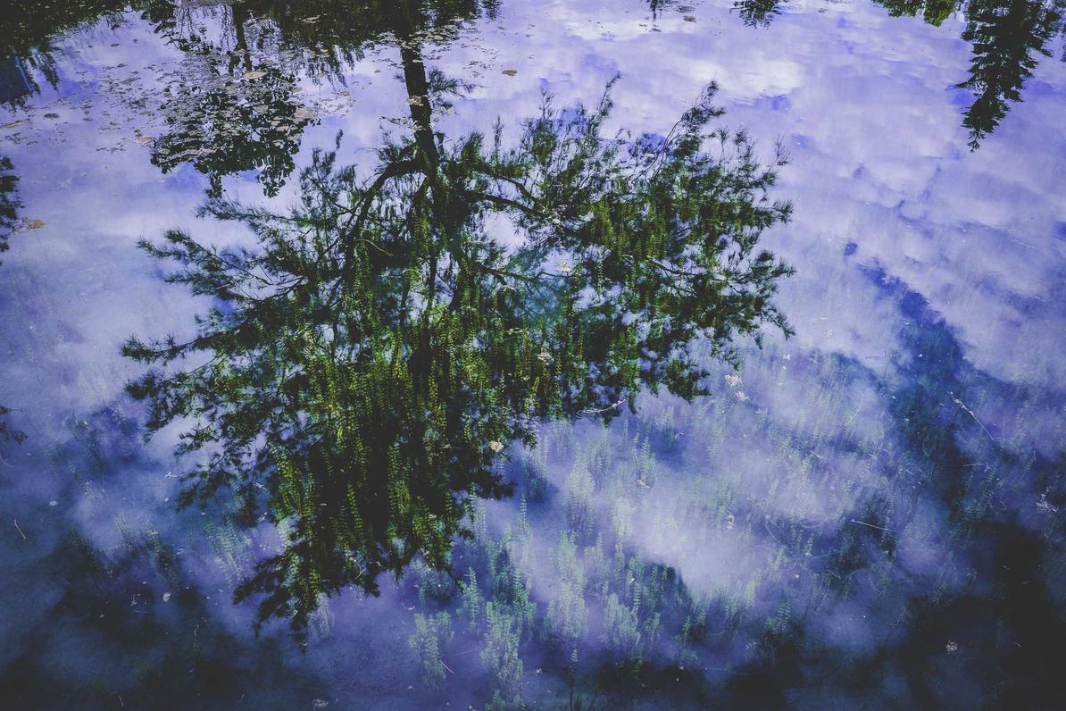 Repellendus tempora dolores dolores et excepturi expedita